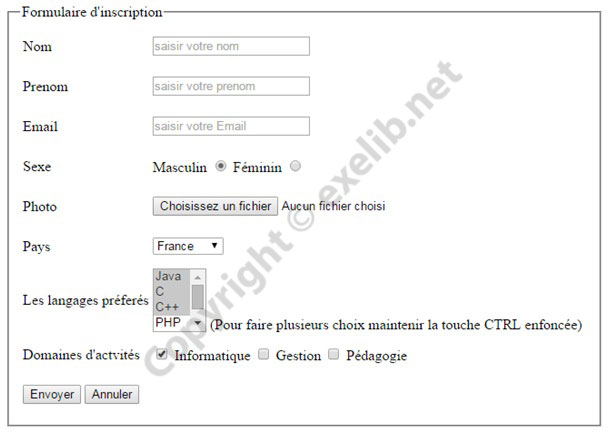 plusieurs-input